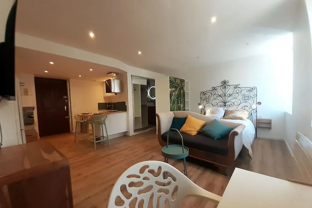 Classe 3 Etoiles Ideal Vienne Centre Ville 20 Min De Lyon location